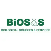 Betriebswirt / Steuerfachangestellter / Buchhalter als Finance Specialist / Financial Administrator (m/w/d)