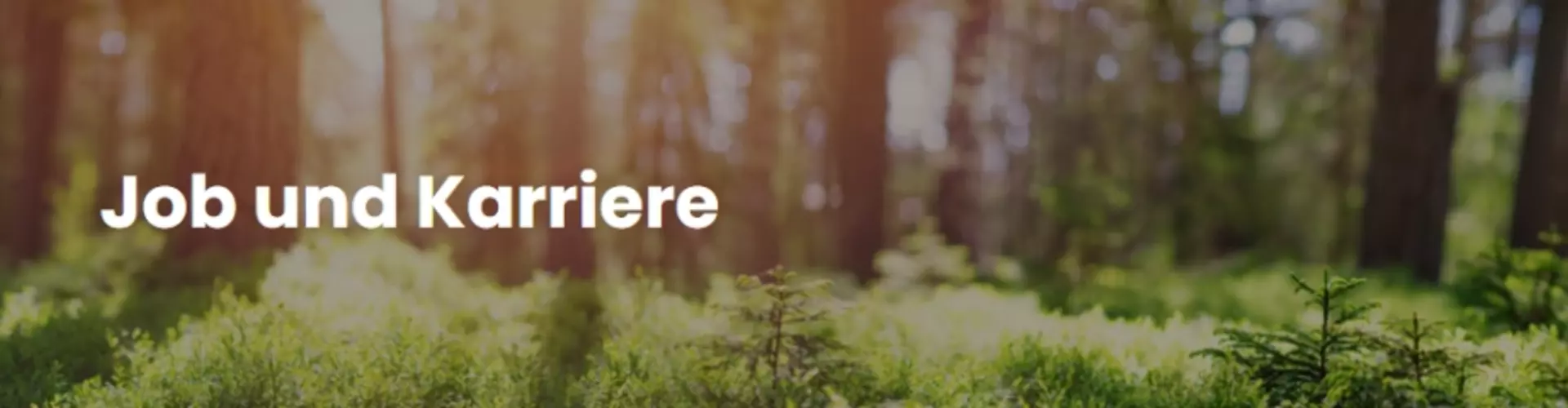 Ergo-& Physiotherapie Rasch Inh. Verena Wiedemann cover