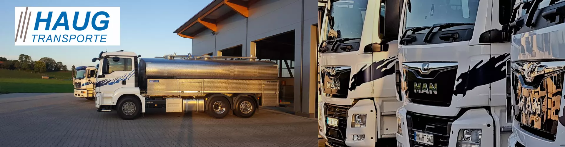 Haug Transporte GmbH cover