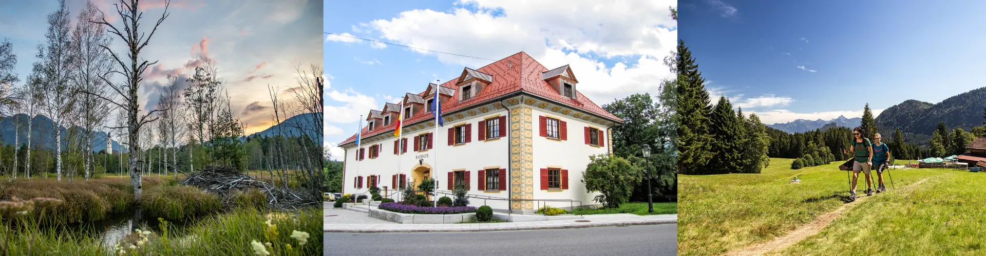 Gemeinde Pfronten cover