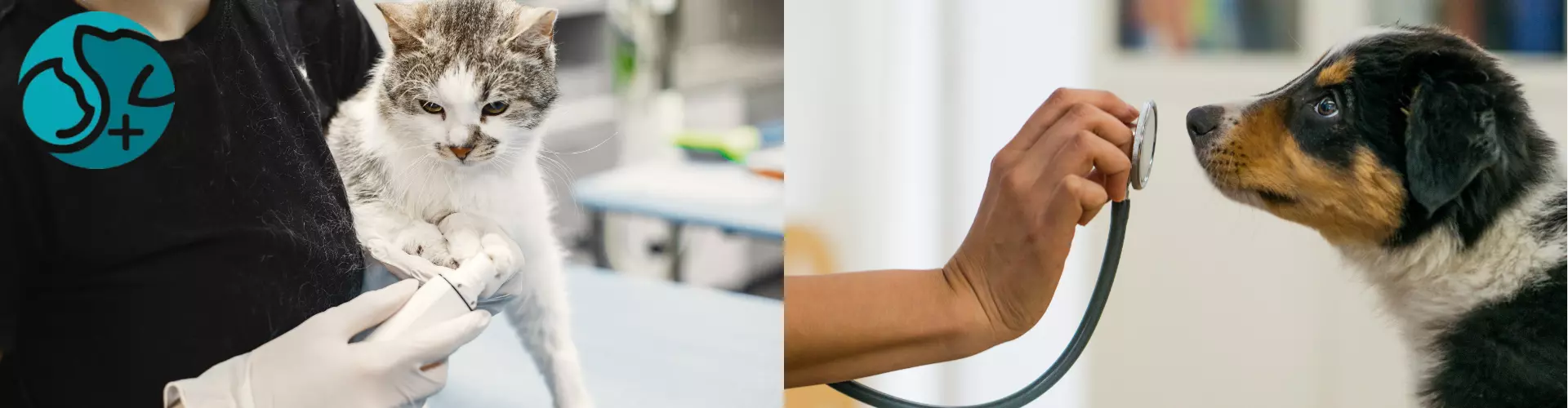 Tierarztpraxis Fraunhofer cover